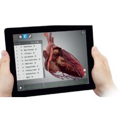 Tablette HeartWorks  - Simulateur en Réalité augmentée